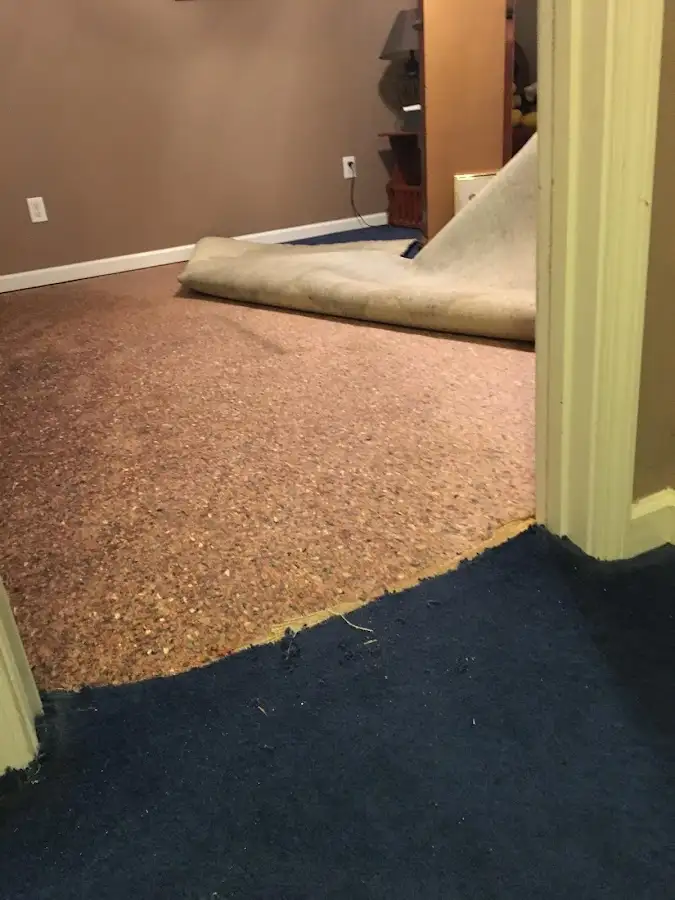 Carpet pad removal revealing water damage during Drying & Dehumidification in Apple Valley