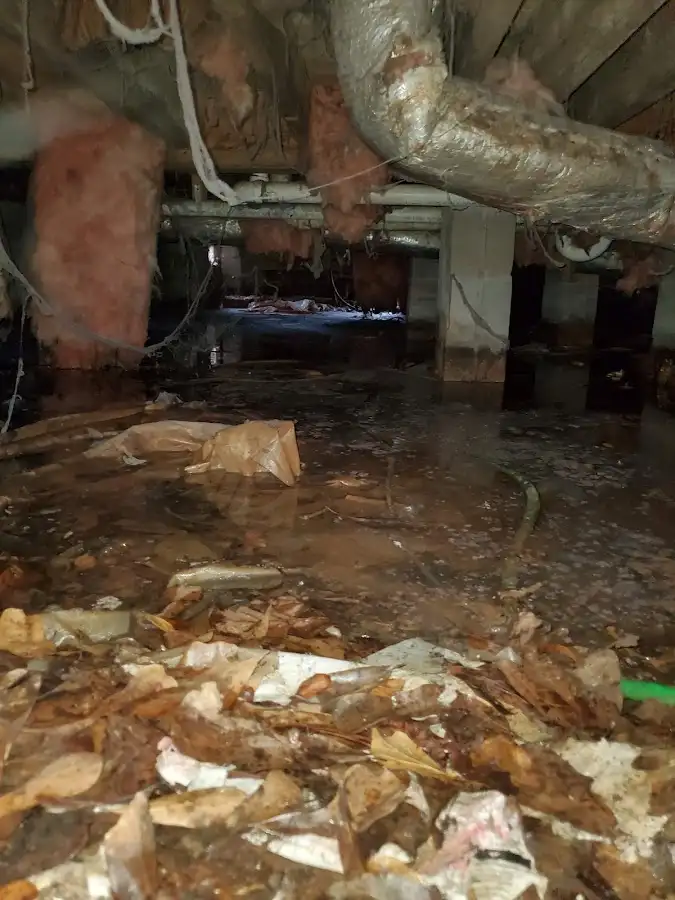 Crawl space flood assessment for Leak Detection & Repair in Apple Valley
